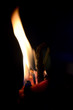 Red Candle Straight