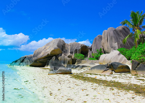Photo: Beach Wallpaper Coconut Beach Wallpaper Coconut