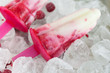 Resfreshing raspberry ice popsicles