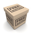Free shipping ecommerces concept
