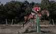 Foto: Reiten04 Reiten04