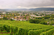 Trier 01