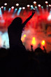 cheering crowd at concert cheering crowd at concert