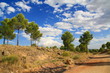 colores de la naturaleza mediterranea