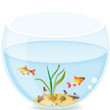 Small fishes in a round aquarium Small fishes in a round aquarium