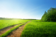 ground road and sunset