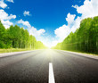 road in forest