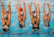 synchronized swimmers