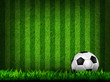 Ilustración: soccer football on grass field soccer football on grass field