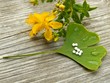 Naturmedizin