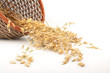 Oat