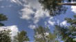Sky and clouds over trees time lapse Full HD HDR