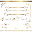gold line and frame set