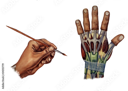 Illustration: carpal tunnel syndrome carpal tunnel syndrome