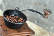 Manual coffee grinder