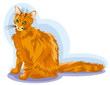 Red cat