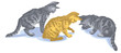 Three kittens