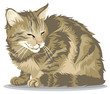Happy cat