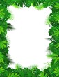 Vector: Forest background Forest background