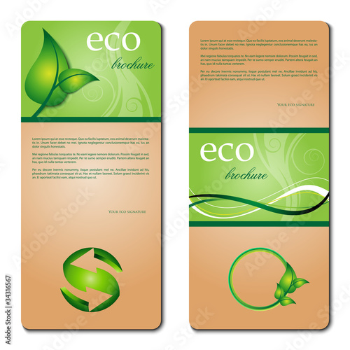 Vector: eco promotion brochure with diverse green elements eco promotion brochure with diverse green elements