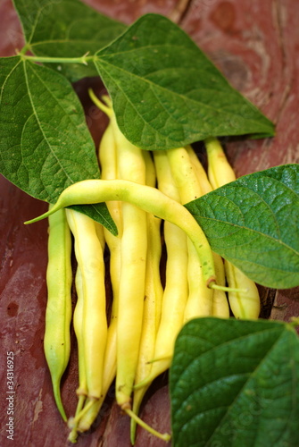 Photo: yellow kidney beans with leaf wood texture yellow kidney beans with leaf wood texture