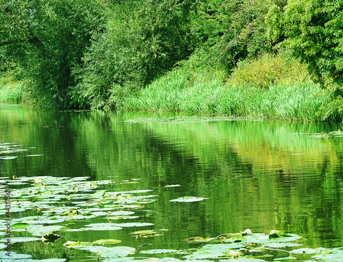 Photo: green river green river