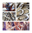 Cuisine, gastronomie, restaurant, repas, aliment, plat, menu Cuisine, gastronomie, restaurant, repas, aliment, plat, menu