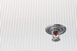 Sprinkleranlage Feuerschutz © Matthias Buehner
