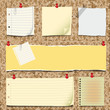 Back to school - notepaper collection Back to school - notepaper collection