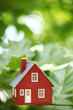 House in the trees