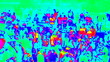 Crowd having fun in abstract colors Crowd having fun in abstract colors