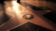 Star on the walk of fame