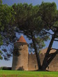 Château Yquem, Pays de Sauternes ; Gironde ;  Aquitaine