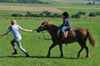 Ferien auf dem Bauernhof