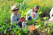 Foto: Kinder ernten im Garten Kinder ernten im Garten