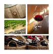 Vin, bouteille, raisin, vigne, œnologie, boisson, chai, cave