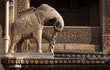 Elephant statue Elephant statue