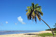 spiaggia di gunga vicino a maceio