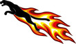 jaguar with flame jaguar with flame