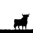 Black bull, symbol of southern Spain.