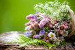 mazzolin di fiori