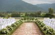 Tropical settings for a wedding on mountain