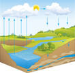 Vector schematic representation of the water cycle in nature Vector schematic representation of the water cycle in nature