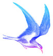 seagull