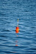 Orange and Red Lobster Bouy