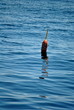 Old Lobster Bouy Floating in the Sea