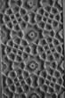 Geometric stone carved detail Geometric stone carved detail