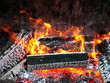 Feuer mit glühenden Holzkohlen zum Grillen eines Spanferkels
