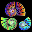 Nautilus Trio