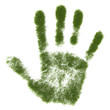 Grass  hand print